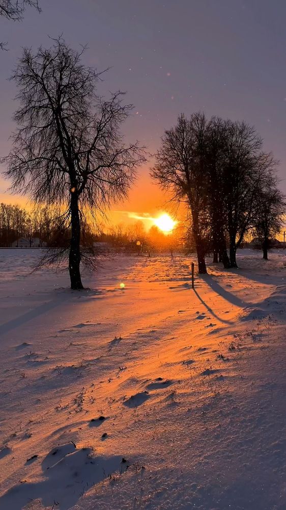 Фотография автора Светлана Сергеевна