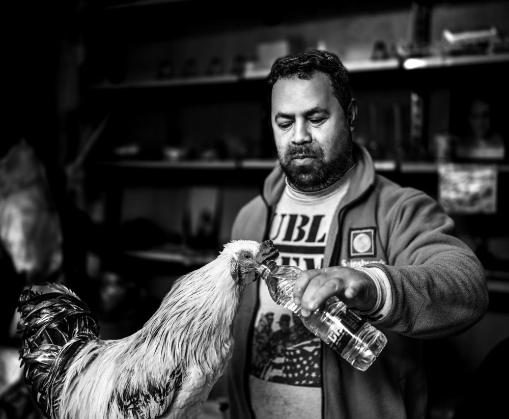 Фотография автора Amin Mohamadrezaee