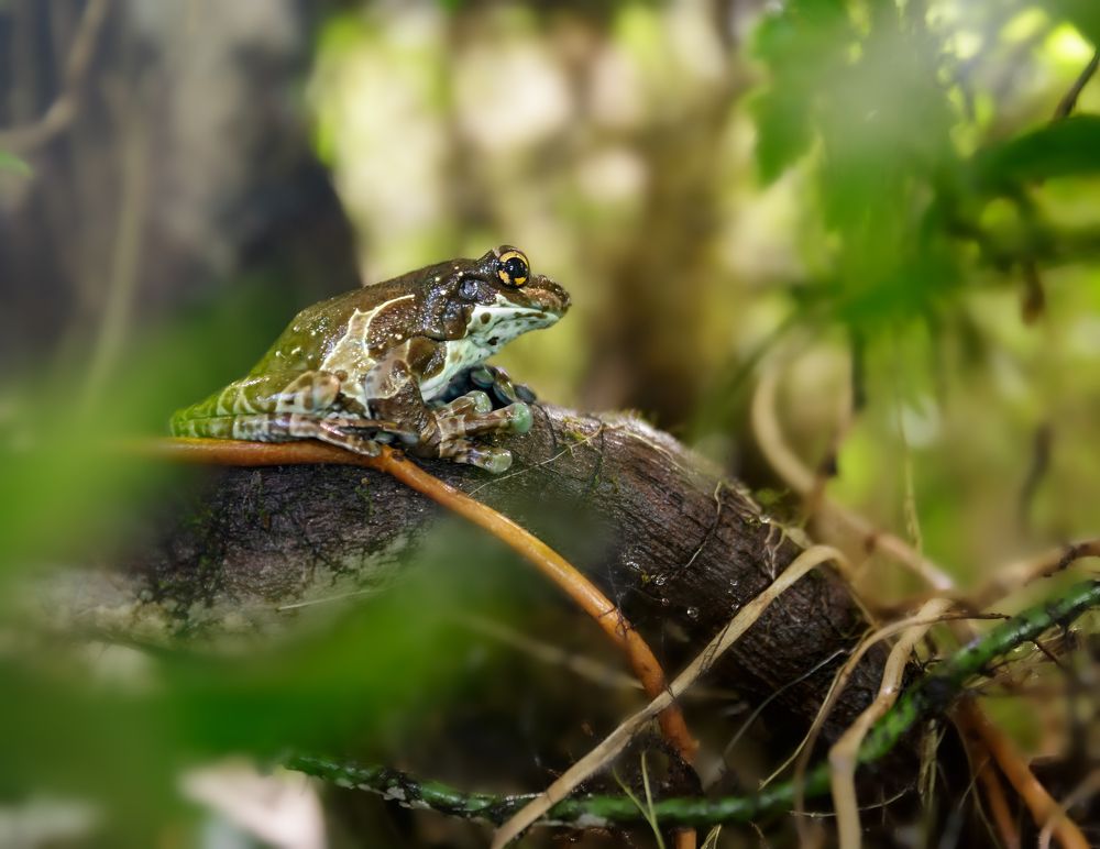 Photograph by Alaa Siyam