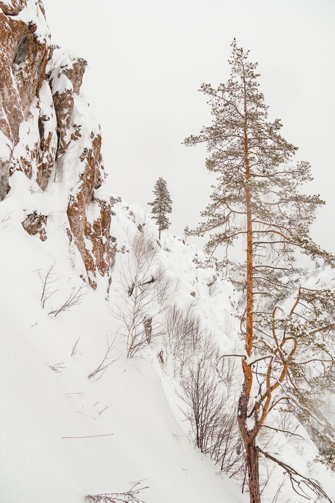 Фотография автора Артём Пышкин