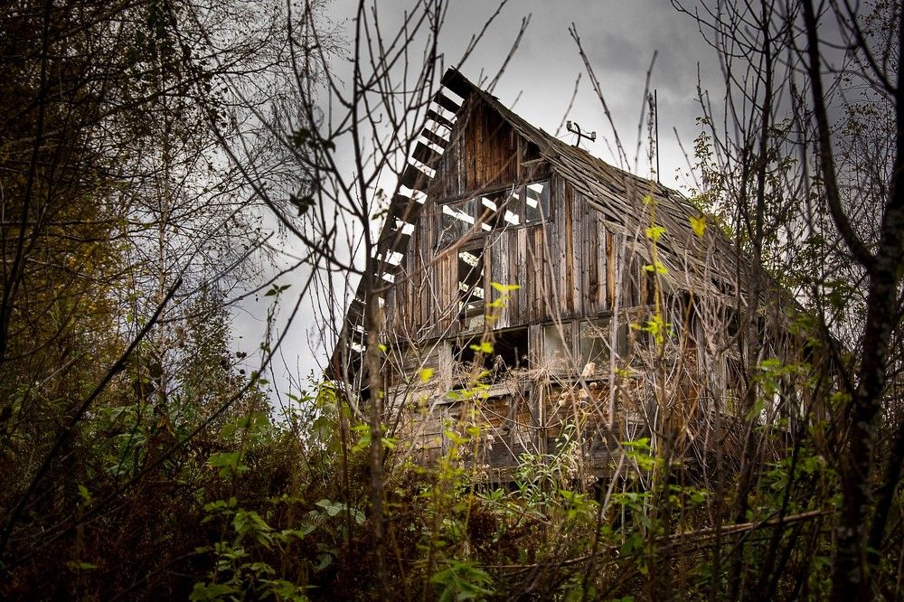 Photograph by Михаил Лавренков