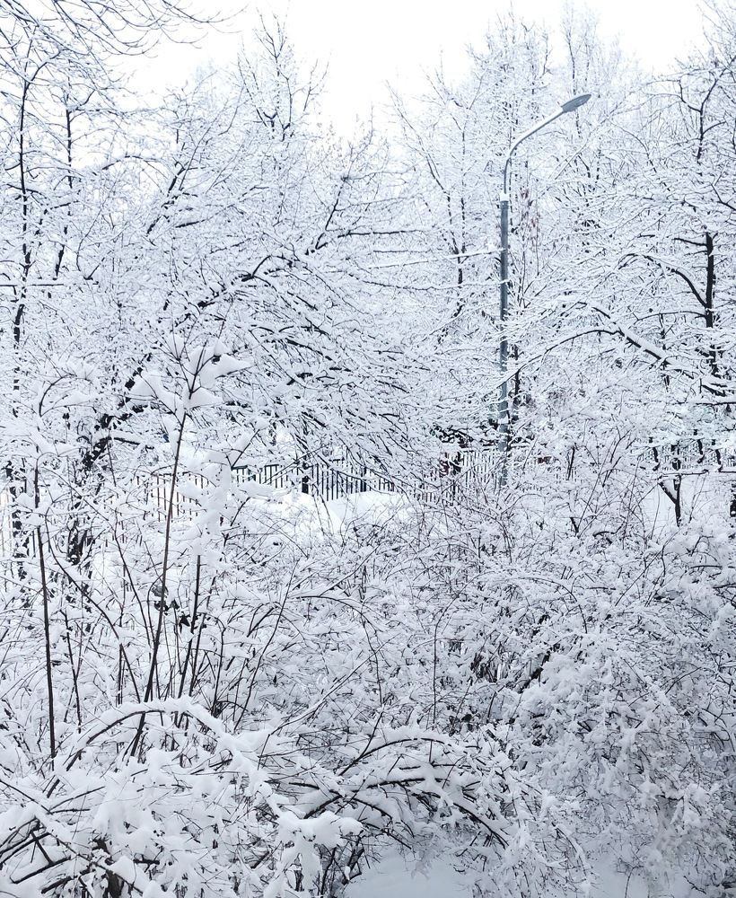 Photograph by Марина Георгиева