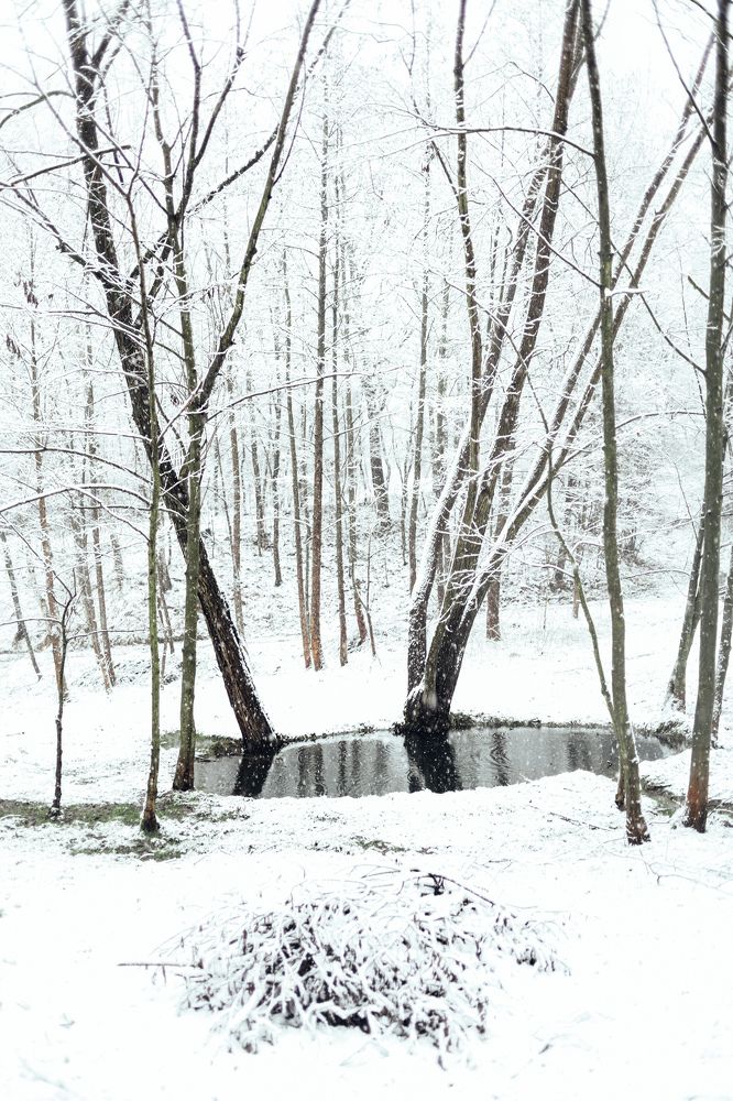 Photograph by Юлия Жукова