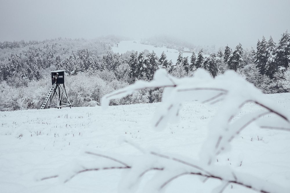 Photograph by Юлия Жукова