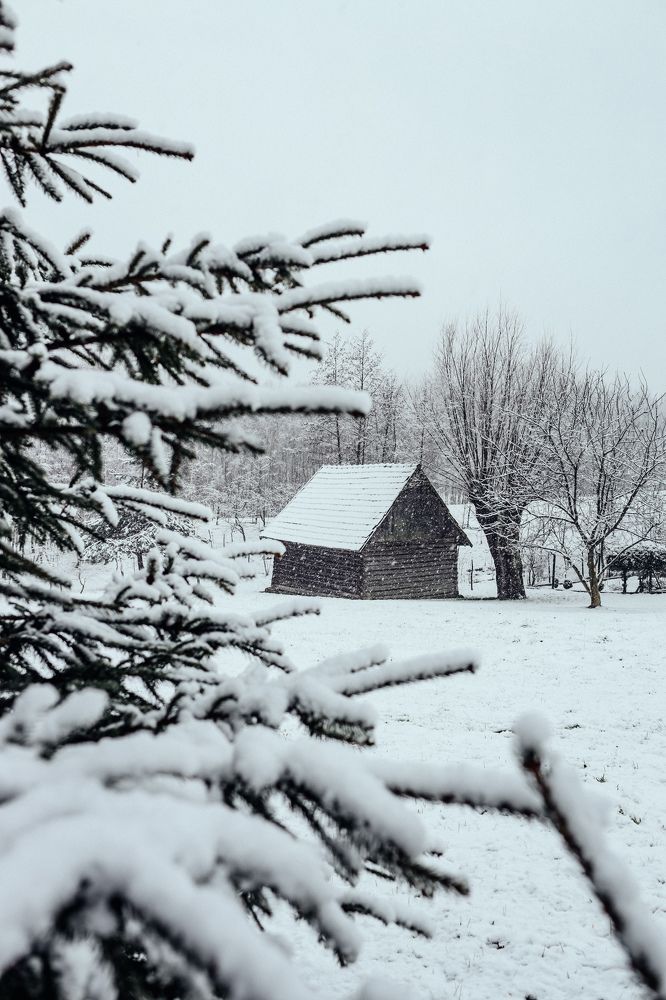 Photograph by Юлия Жукова