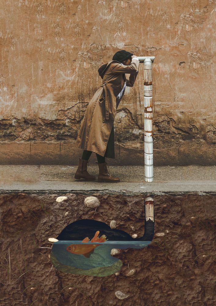 Фотография автора Daniyal Arabzadeh