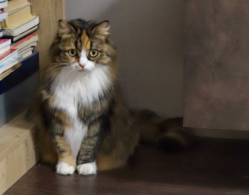 Photograph by Сергей Гребенников