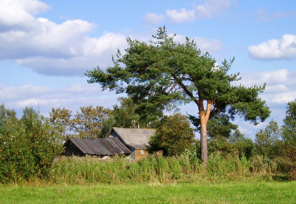 Photograph by Татьяна Смирнова