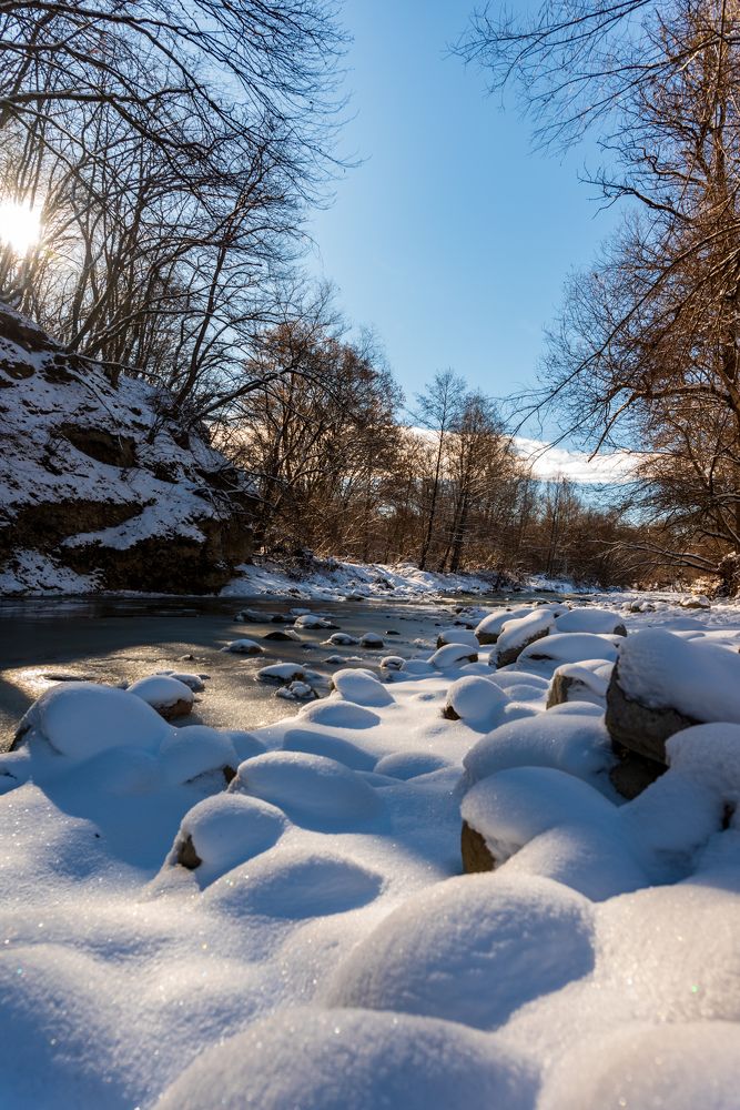 Фотография автора Дмитрий Referee
