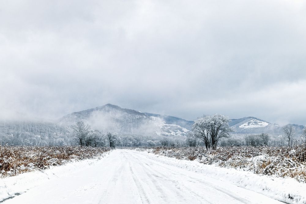 Photograph by Игорь Ковалёв