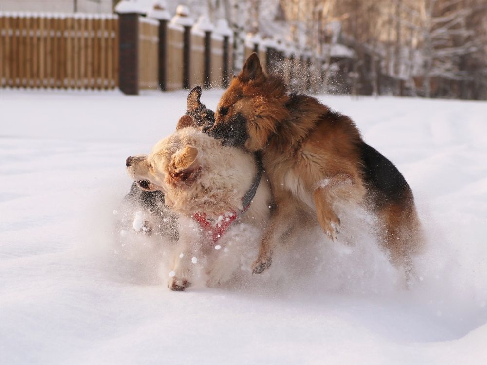 Photograph by Светлана Богомолова