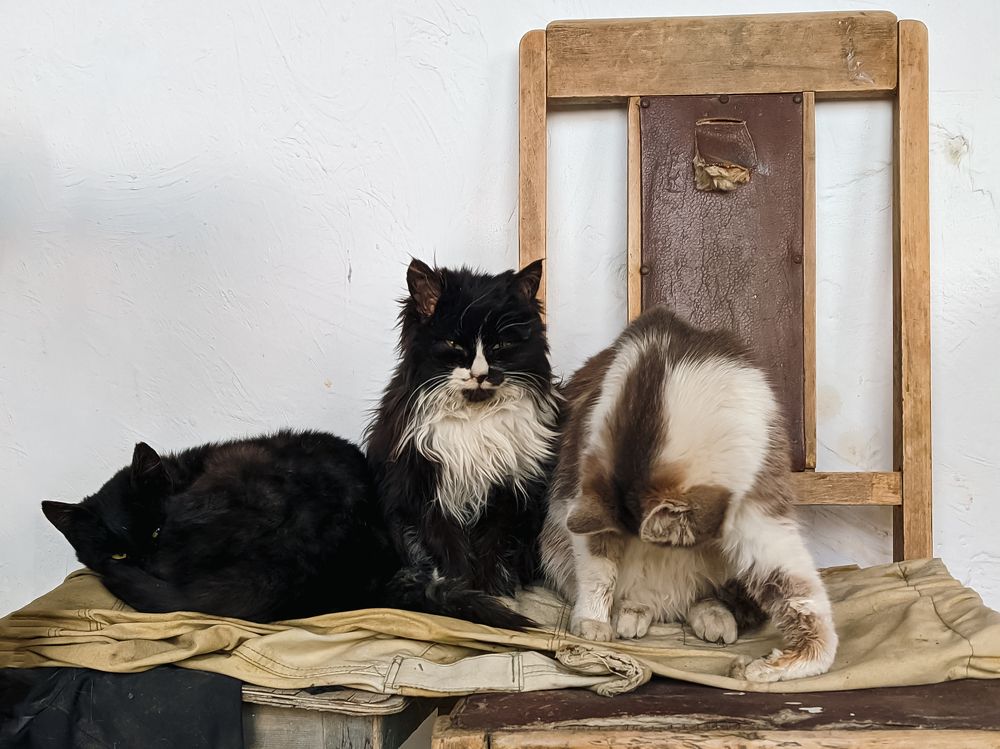 Photograph by Дмитрий Синицын