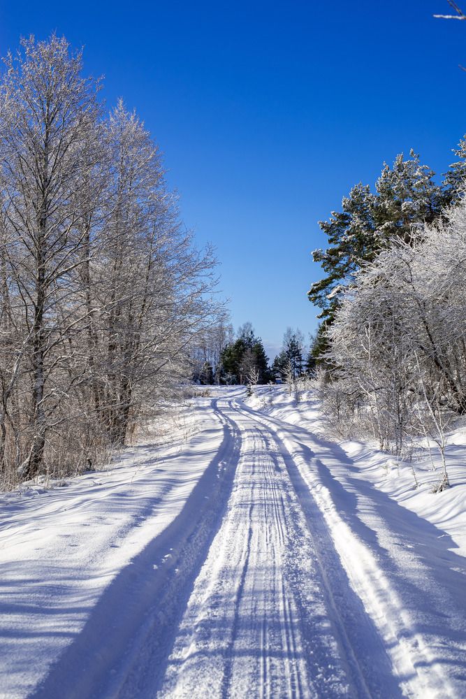 Photograph by Наталья