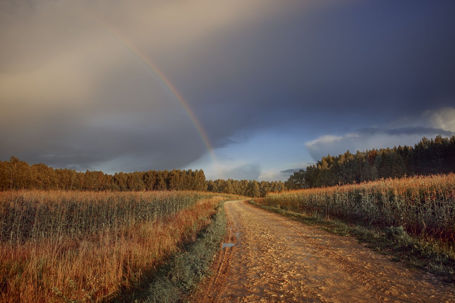 Photo #10123544
