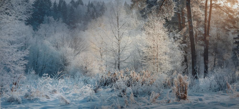 Фотография автора Юлия Онучина