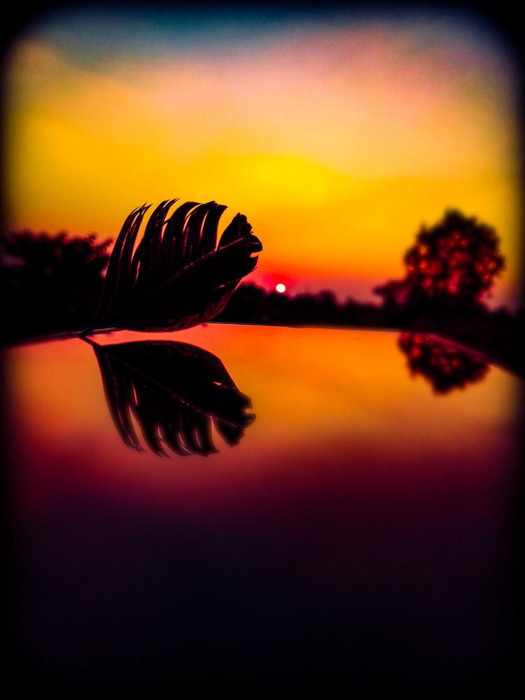 Photograph by Vrushabh B. Kangale