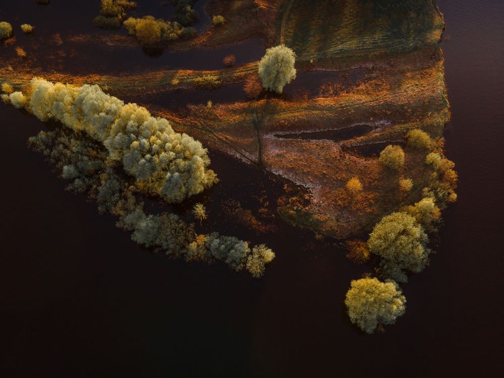 Фотография автора Юлия Онучина