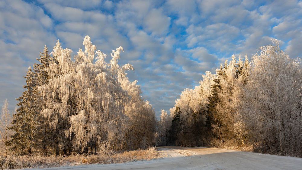 МАСТЕРСКАЯ ИНЕЯ