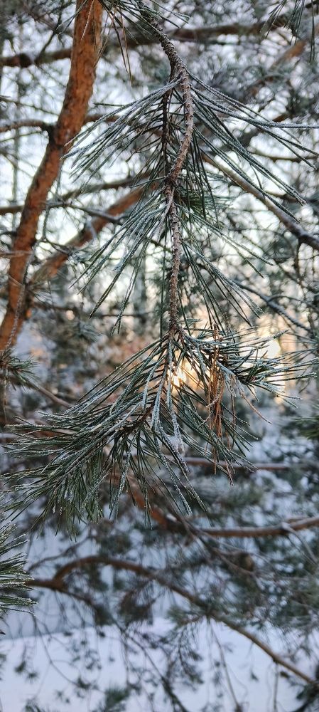 Photograph by Семён