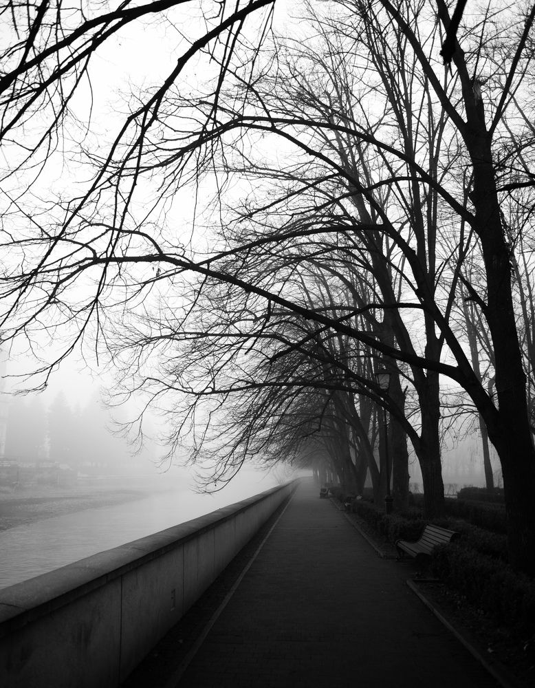 Фотография автора Табуев Батраз