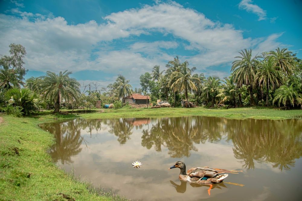 Фотография автора Shuvadeep Paul