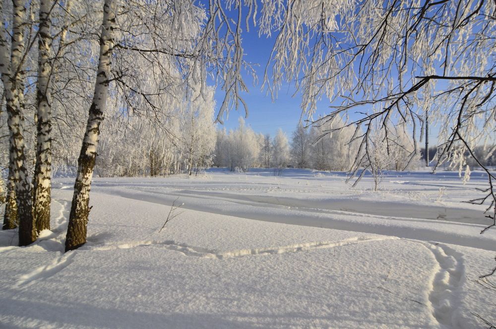 Фотография автора Клавдия Васильева