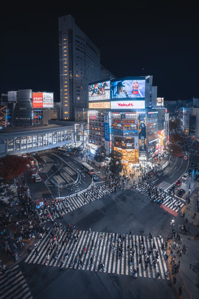 Photograph by Andrea Bartoli