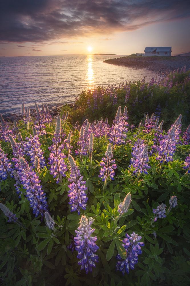 Фотография автора Andrea Bartoli