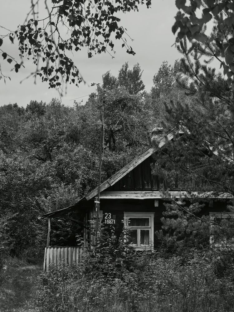 Фотография автора Ольга Панасюк