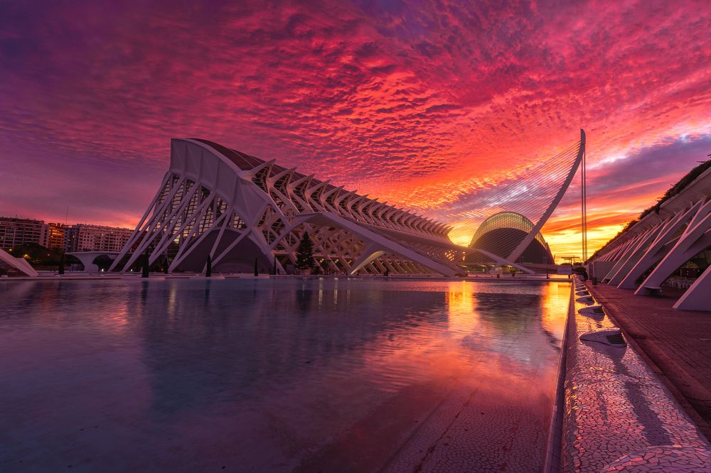 Photograph by Sergio Bautista Moreno