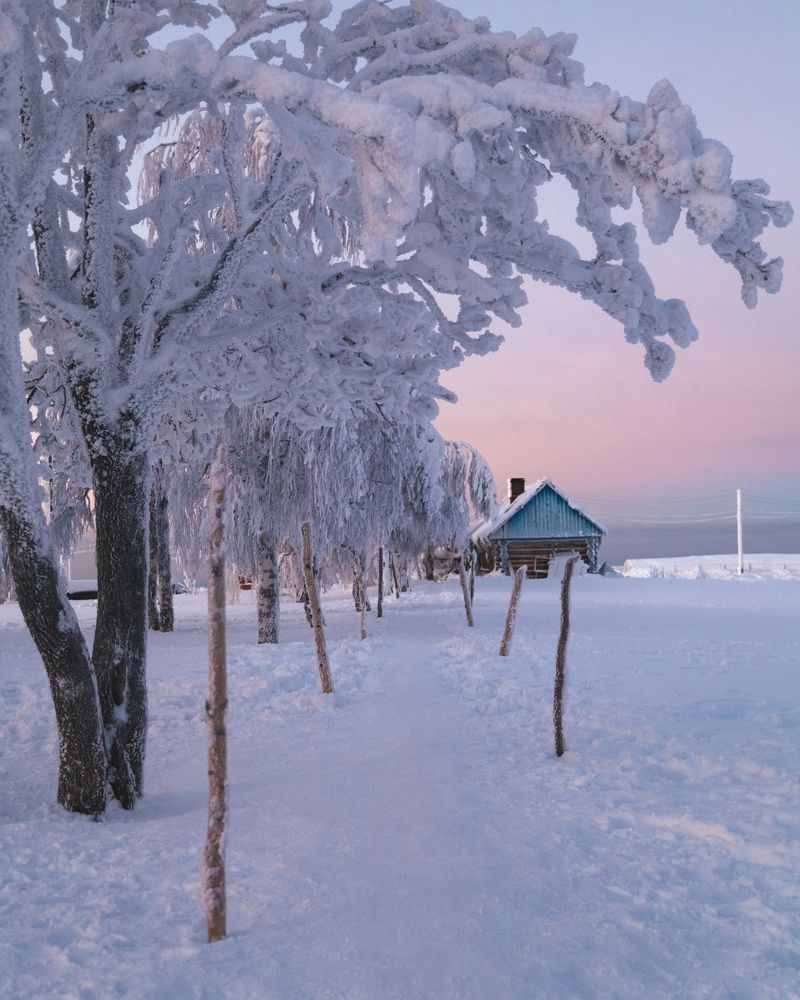 Photograph by Андрей Белавин