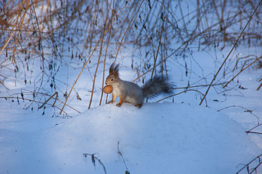 Photograph by Елизавета Корнилова