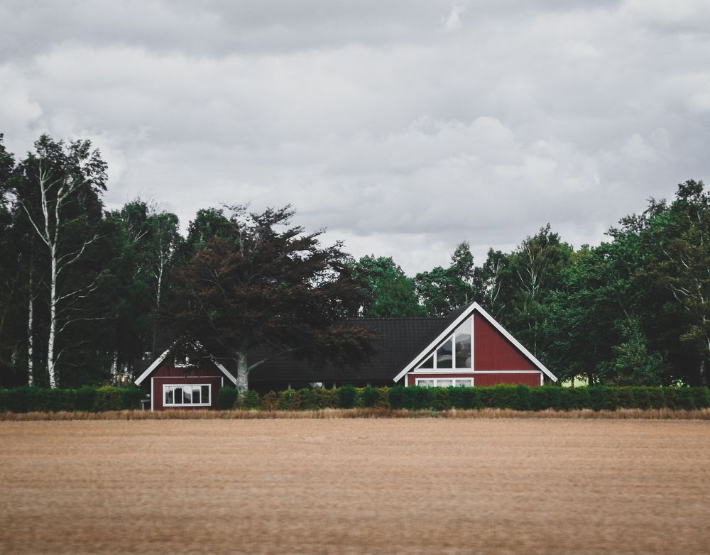 Фотография автора Артур Зюзин