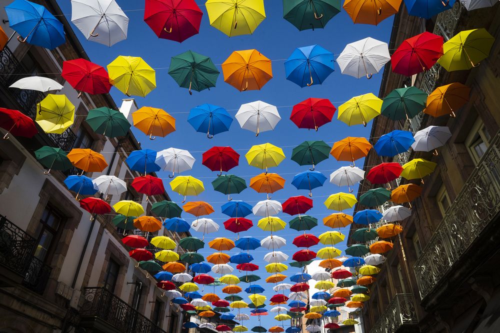 UMBRELLAS