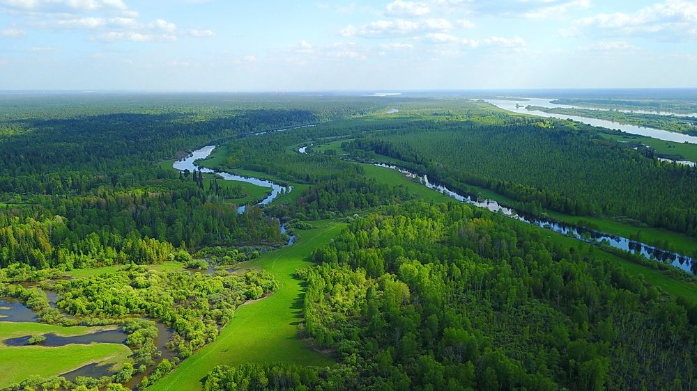 Photograph by Галина Кан