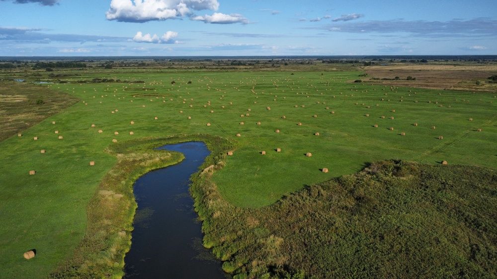 Photograph by Владимир Коновалов