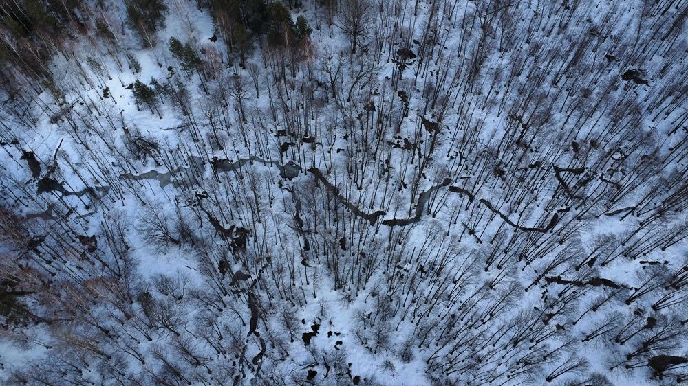 Photograph by Владимир Коновалов