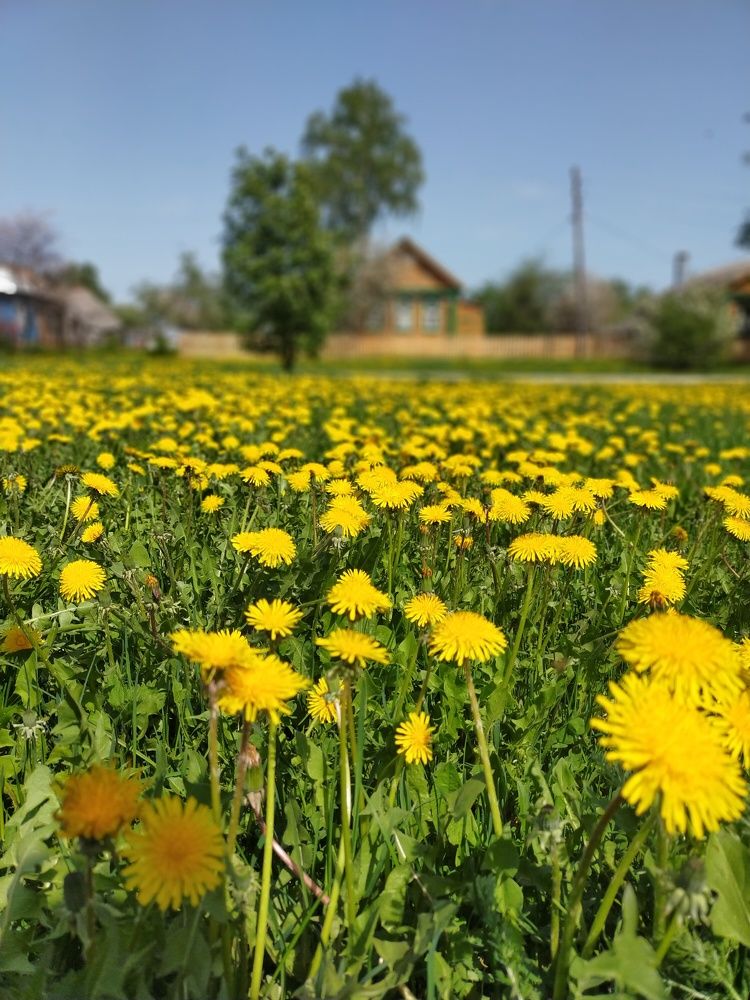 Photograph by Ольга Мартьянова