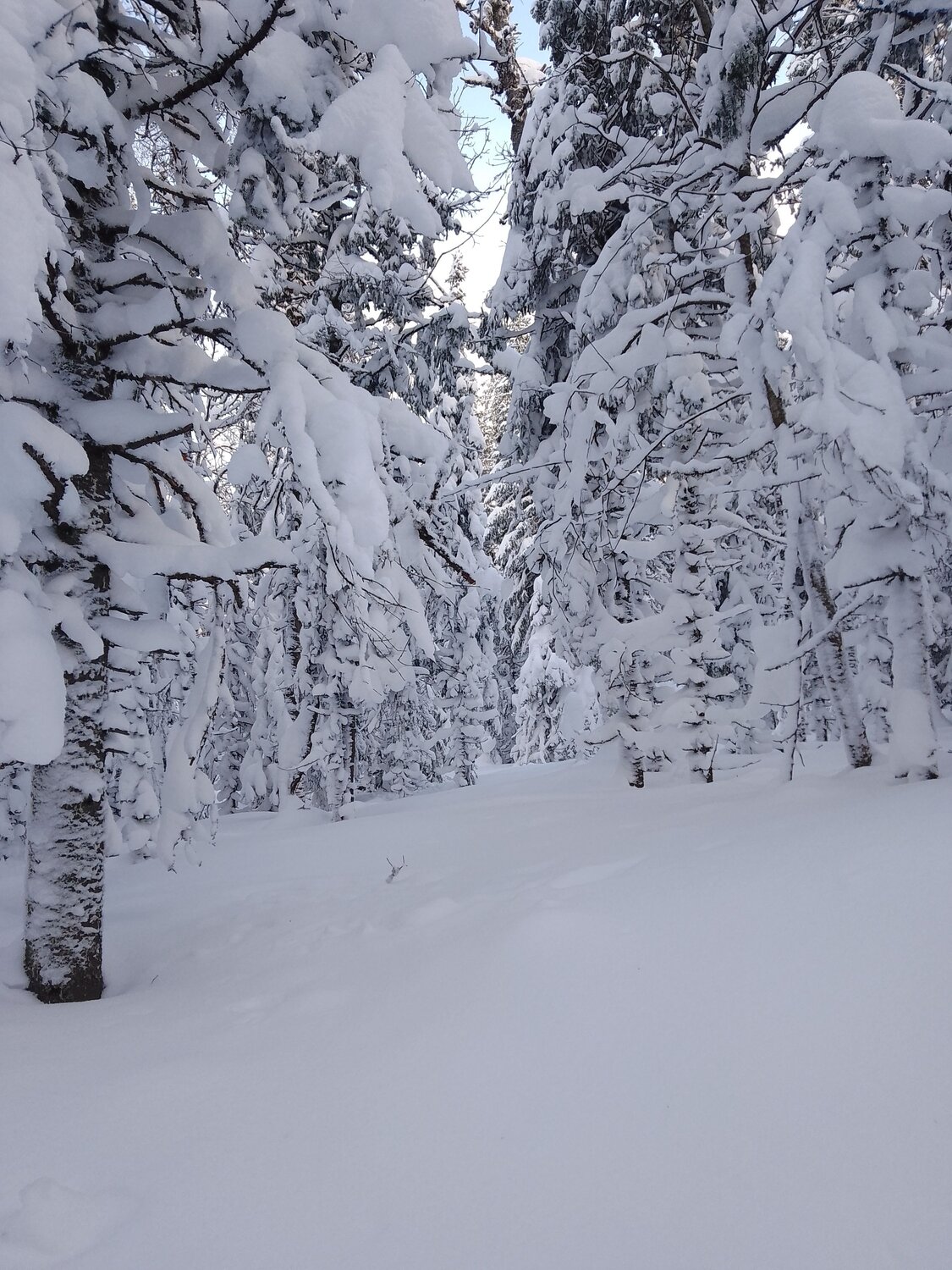 Photo #10124078