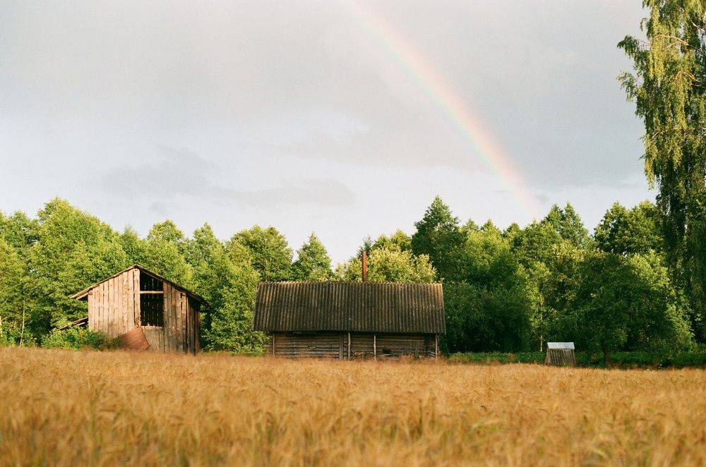 Photograph by Василий Селиванов