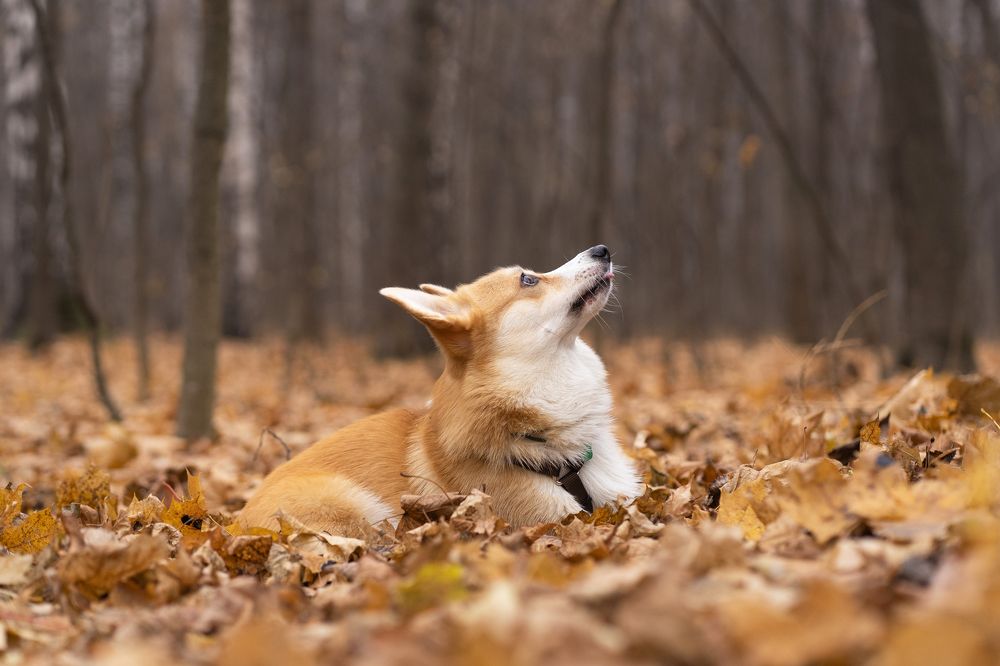 Photograph by Анна Полушина