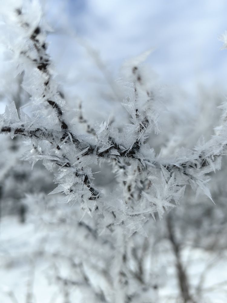 Photograph by Роман Шабан