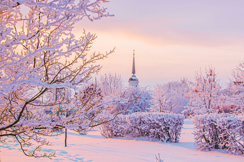 Фотография автора Настя Салтыкова