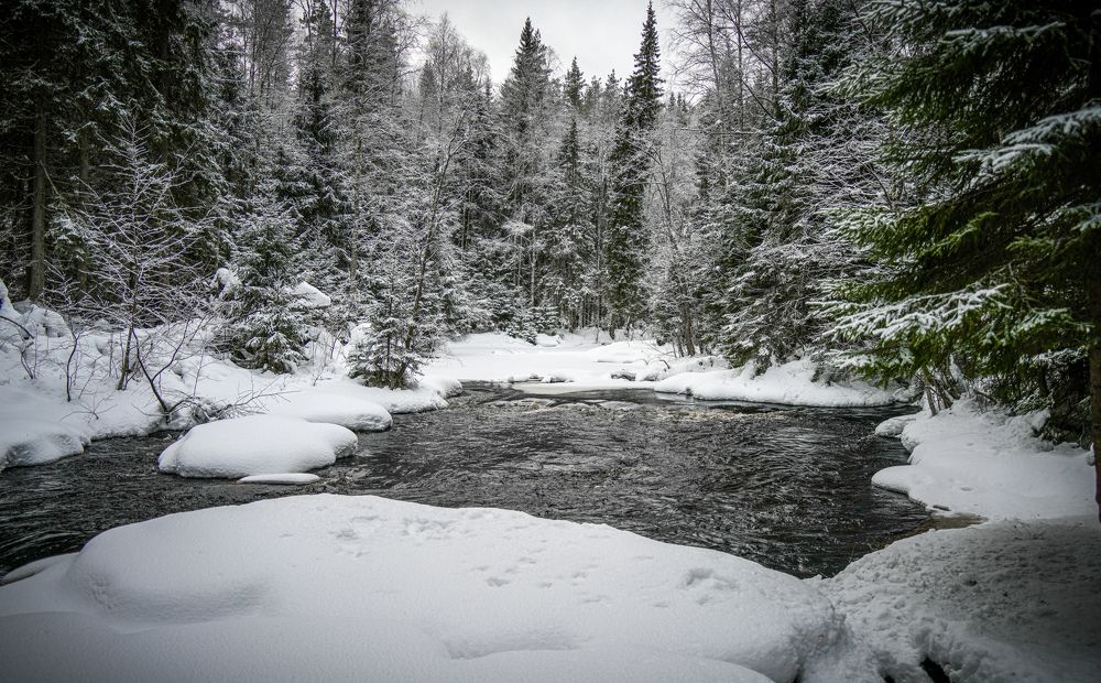 Photograph by Алена