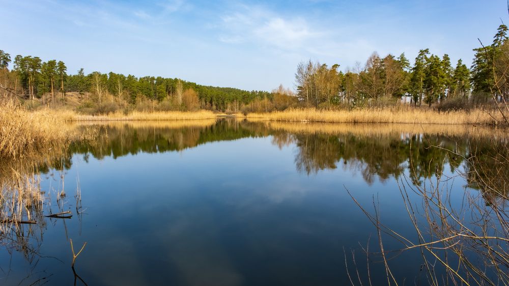 Фотография автора Андрей Арапов