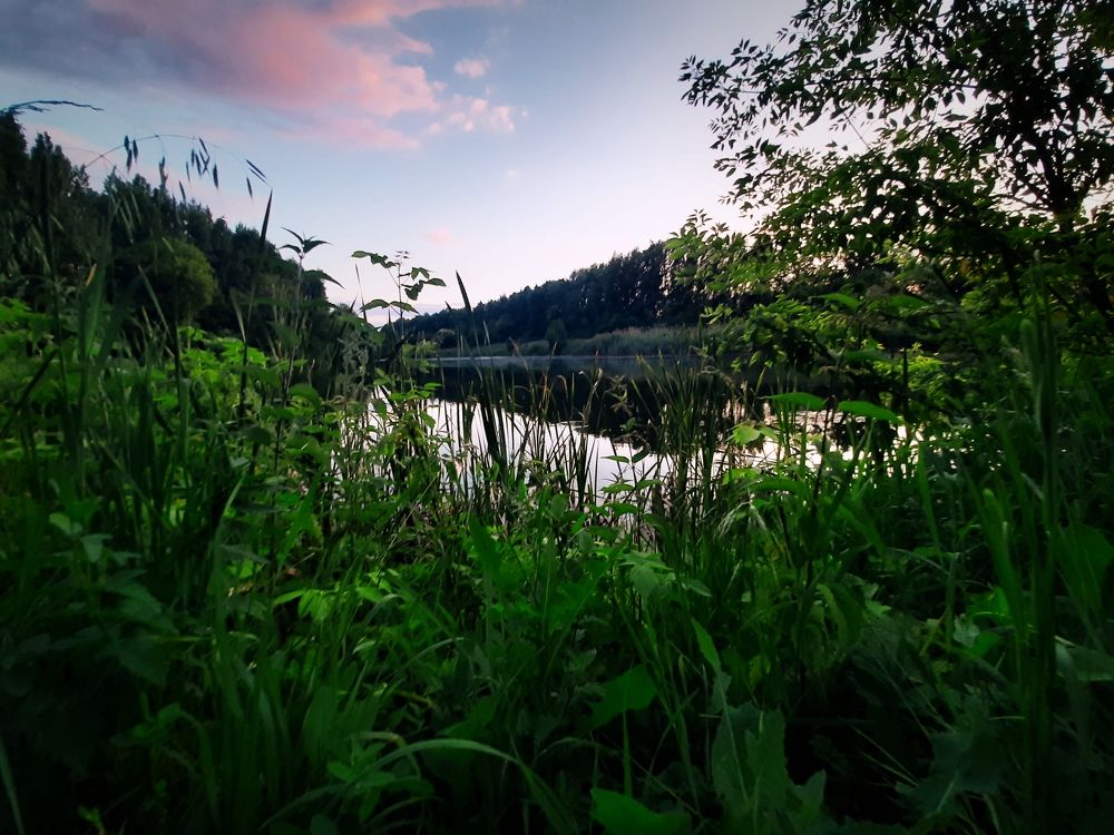Photograph by Елизавета Карюченко