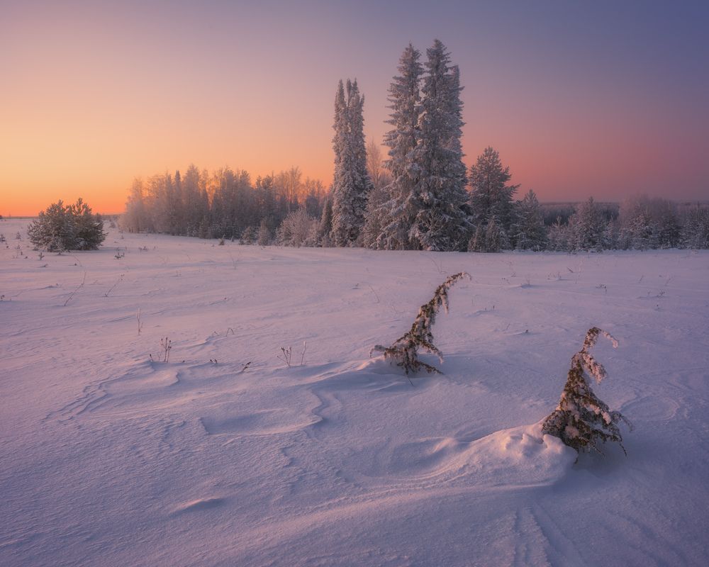 Фотография автора Dmitry Medyancev