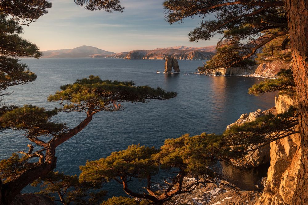 Фотография автора Рита Науменко