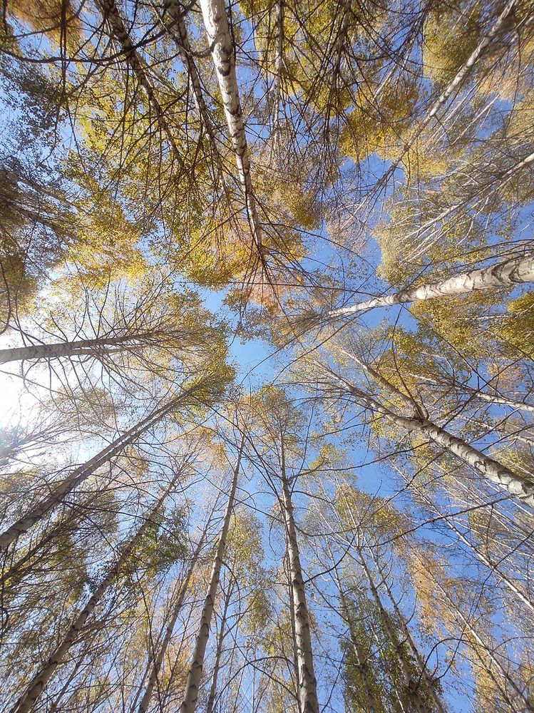 Photograph by Александра Шмидт