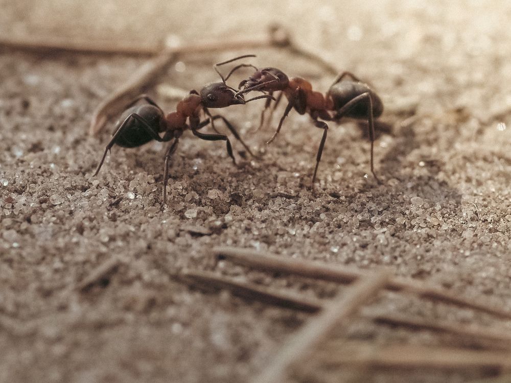 Photograph by Вера Рябинина